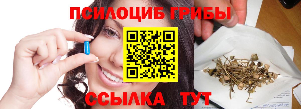 Галлюциногенные грибы GOLDEN TEACHER Кимовск